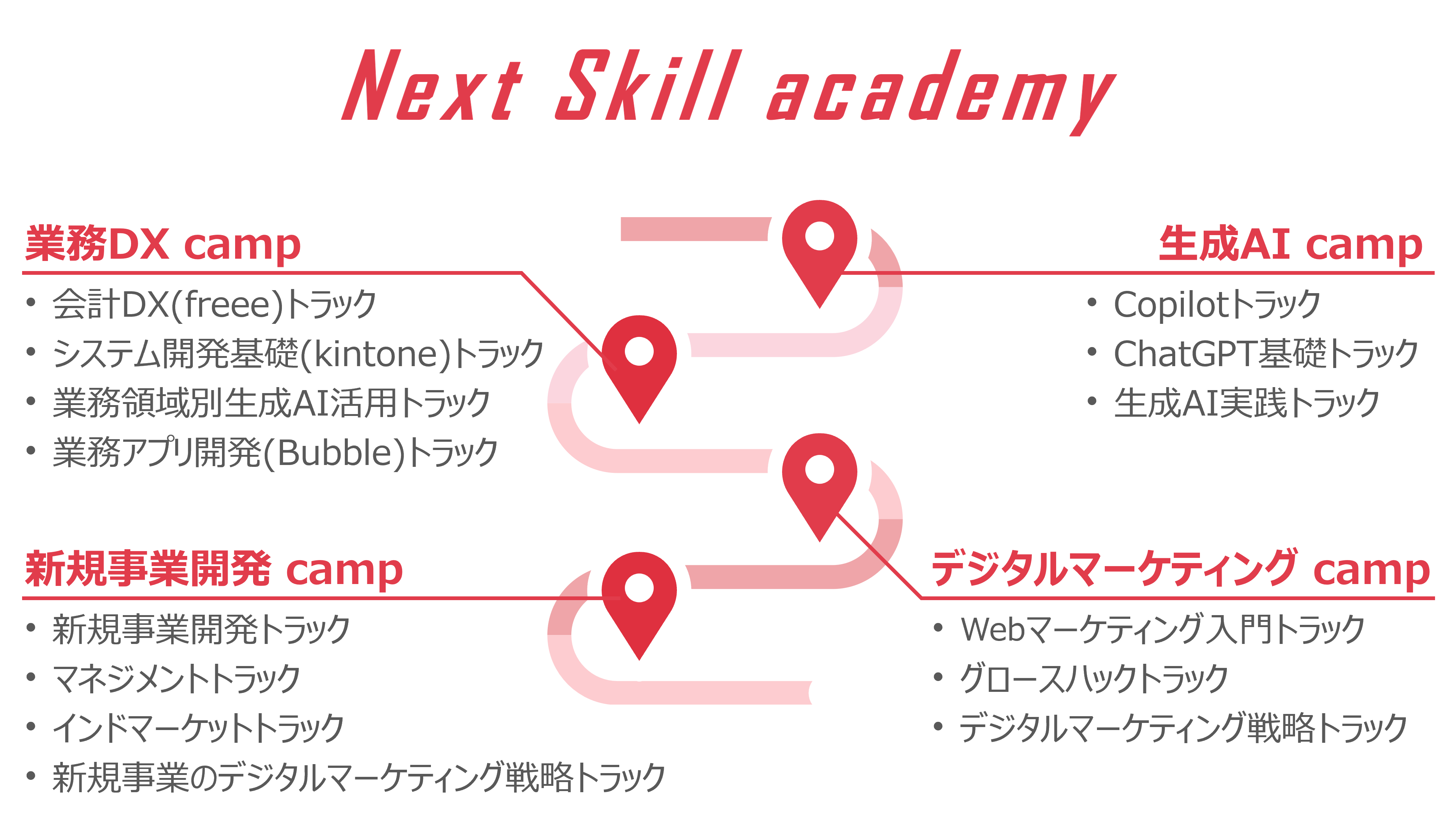 Next Skill academy
